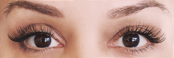 eyes2.jpg eyes2.jpg